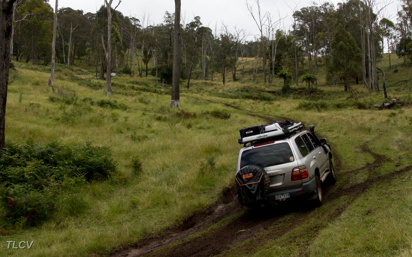 03-Snapper heading back up to snatch Manky.jpg